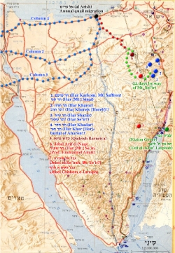 Sinai Yetziyah Routes